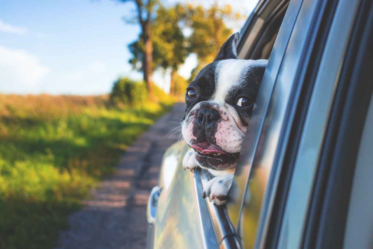 Considerations for Future Licensing