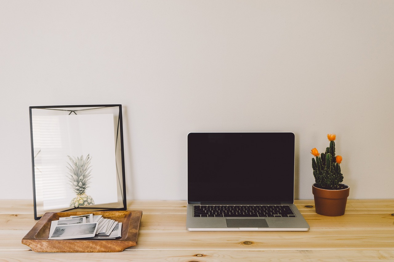 Adobe Stock: The Unpredictable Journey of a Newbie