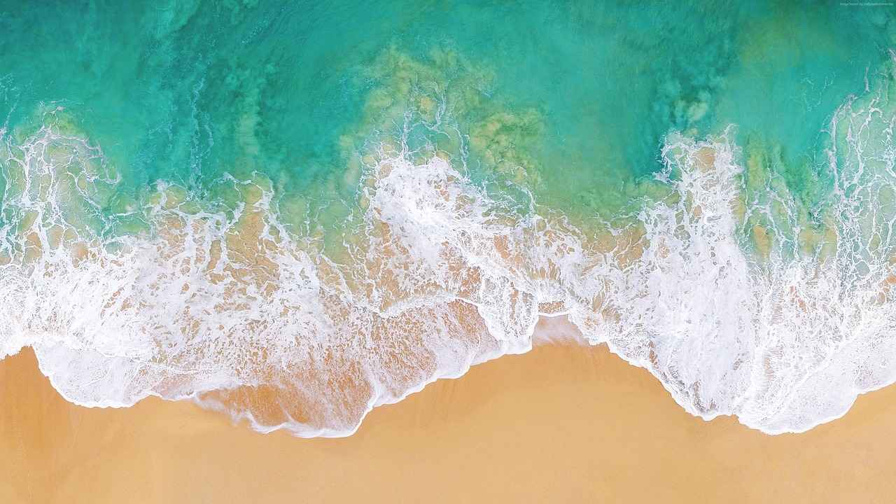 The Basics of Adobe Stock