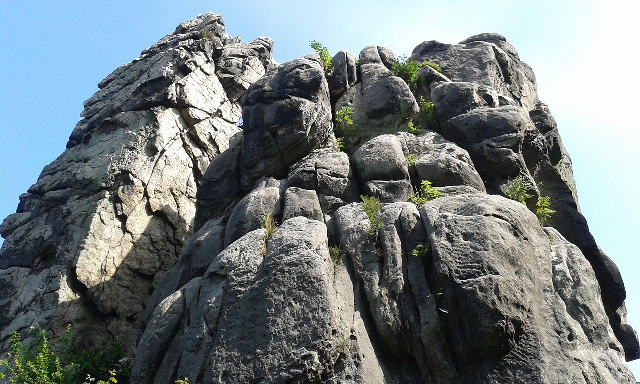 Ascend Pro