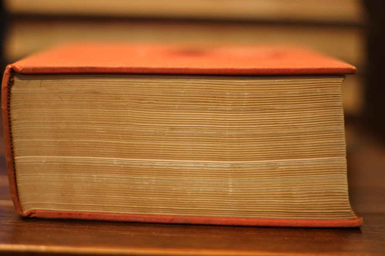 The Basics of Duolingo