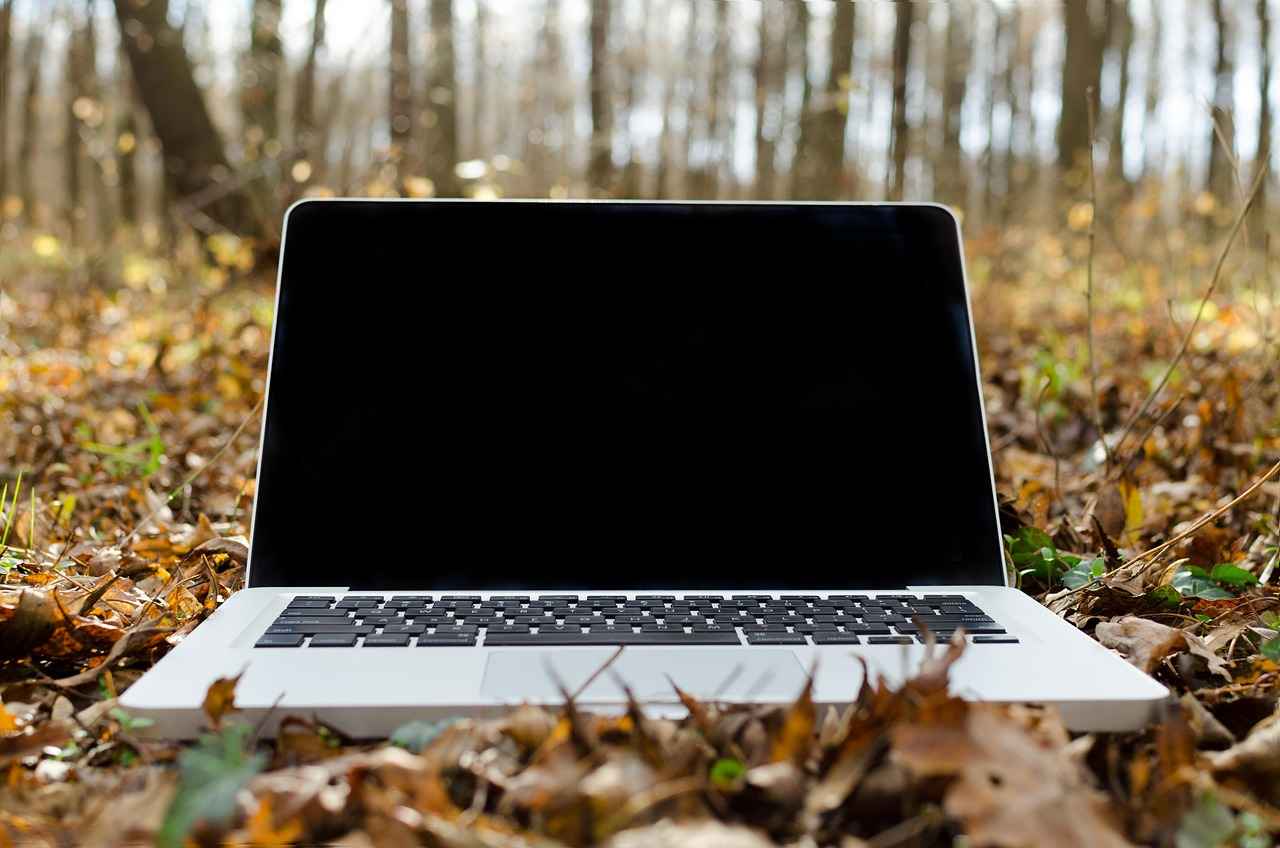 Final Verdict: Is It Worth Your Time and Money?