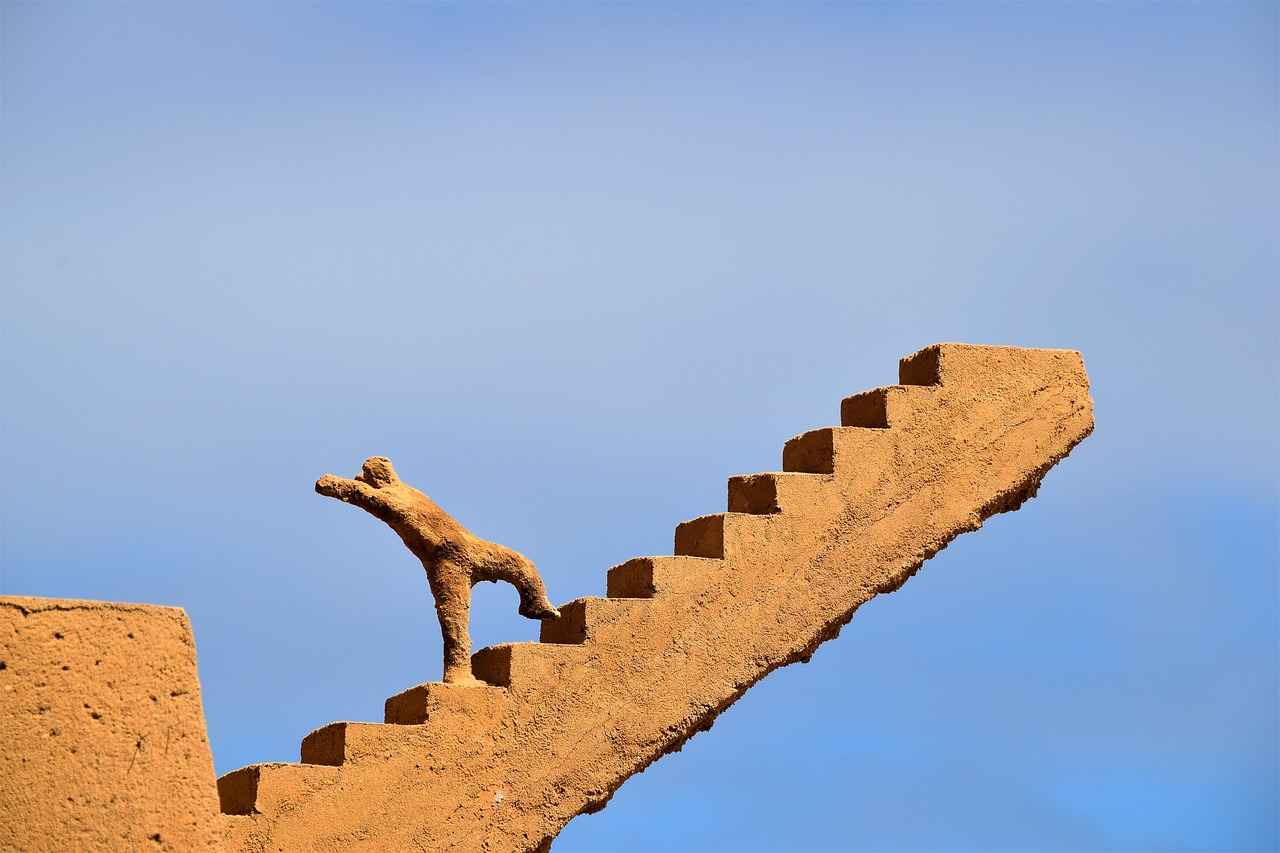 Reaching the Pinnacle in Careers