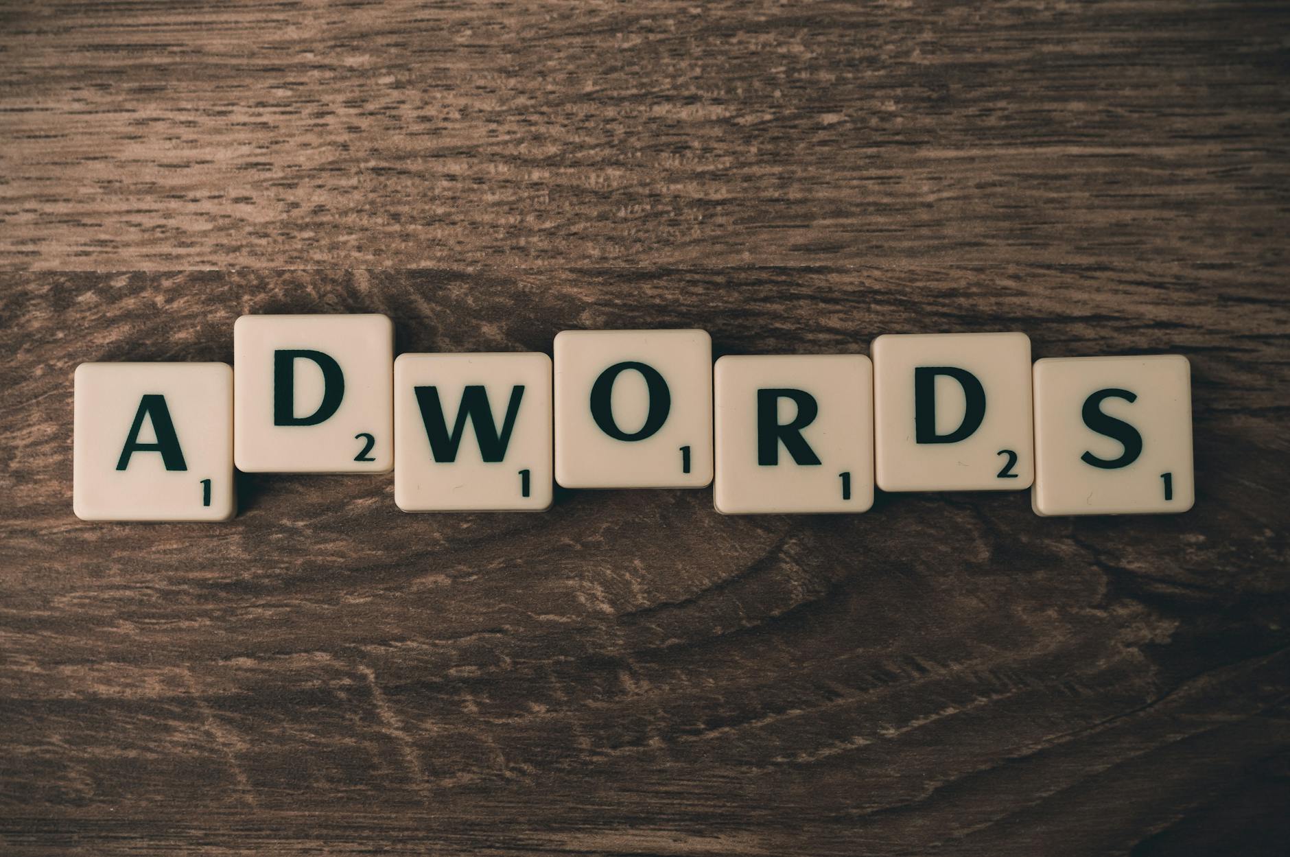 SEOBility: SEOBility License – Is It Right For Your SEO Needs?