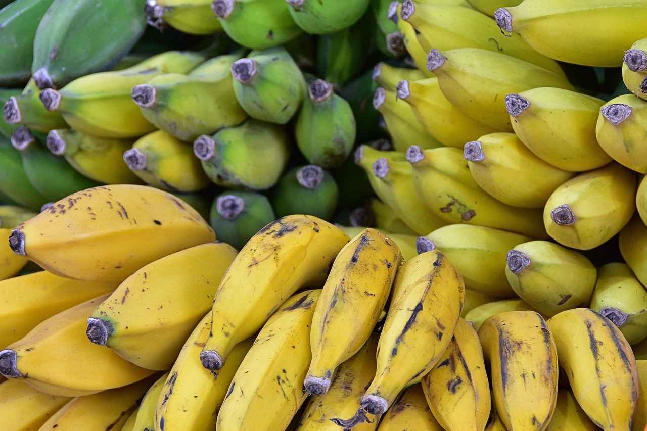 Understanding Market Trends