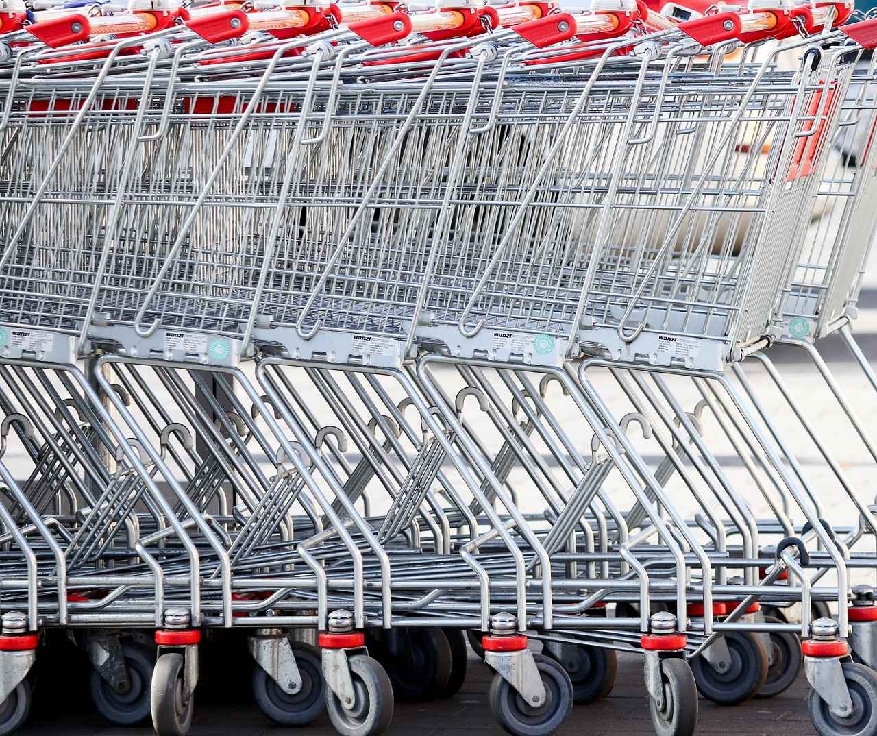 The Basics of Wholesale Shopping