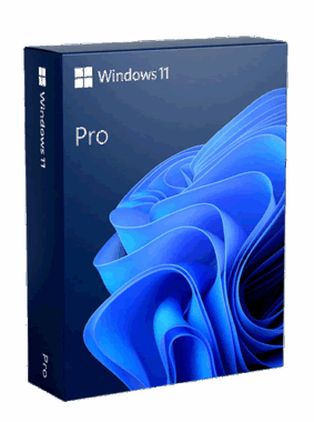 windows 11 pro