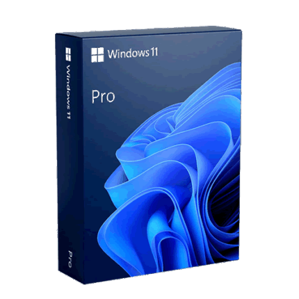 windows 11 pro