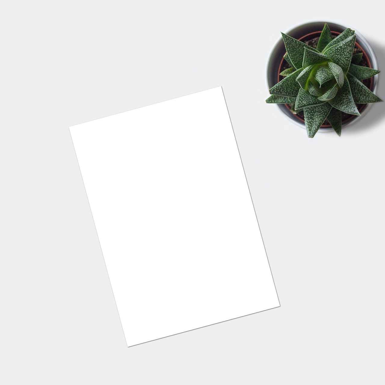 Sharing Your Portfolio