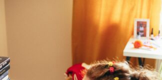 Windows 11 Video Playback Stutters: Discover Quick Fixes Now! Page