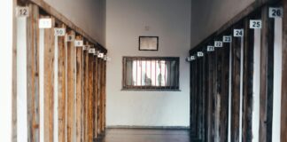 Easy Windows 11 Clean Install Guide: Unlock Your PC’s Full Potential Page