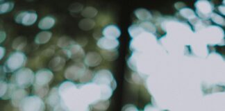 Resolve Windows 11 File Explorer Tabs For Effortless Navigation