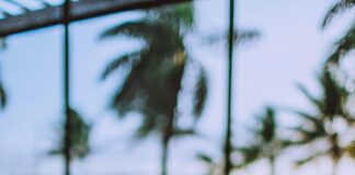 Windows 11 MIDI Device Connection Drop: How To Fix It Fast! Page