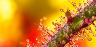 Fix Windows 11 Zoom Audio Drops: Discover Effective Solutions Today Page