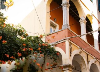 Windows 11 August 2025 Update Lag: How to Fix Performance Issues?