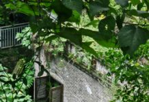 Troubleshoot Windows 11 SSID Hidden: Uncover Your Network Secrets Page