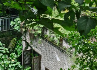 Troubleshoot Windows 11 SSID Hidden: Uncover Your Network Secrets