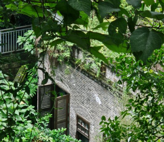 Troubleshoot Windows 11 SSID Hidden: Uncover Your Network Secrets Page