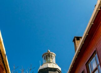 Windows 11 Biometric Data Clear Guide: Unlock Your Privacy Now