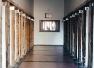 Windows 11 DirectX 12 Crash Guide: Discover Solutions Now!