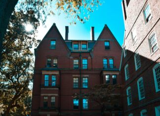 Windows 11 League of Legends Crash: Is Your Game at Risk?