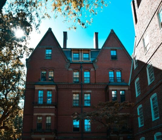 Windows 11 League of Legends Crash: Is Your Game at Risk?