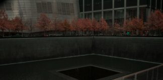 Fix Windows 11 Centered Taskbar Hate: Transform Your Desktop Experience Page