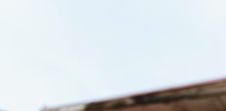 Windows 11 Update on ARM Devices Fix: Unlock Seamless Performance! Page