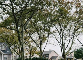 Windows 11 September Patch DRM Fix: Unlock Enhanced Performance Now