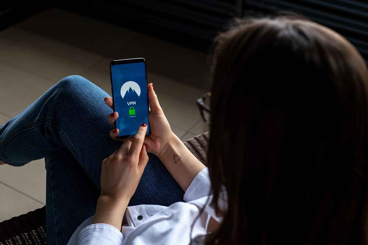 User Reviews and Feedback on Seed4Me