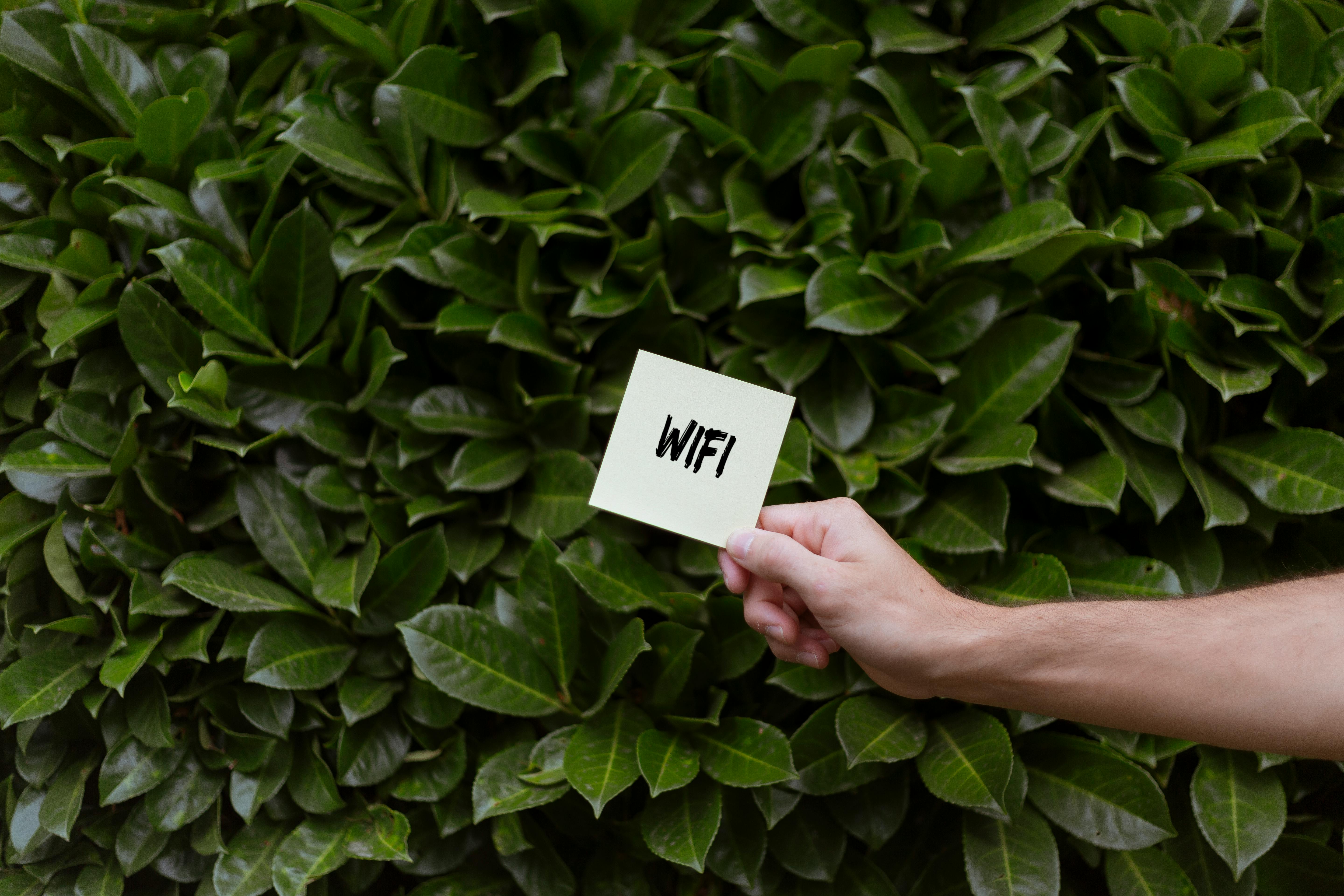 Quick Windows 11 WiFi Card Replacement: Boost Your Connectivity Now